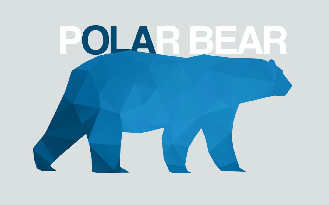 Polar Bear LP